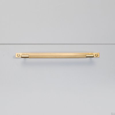 Tirador para mueble alargado de latón con placa lineal 325 y arandela