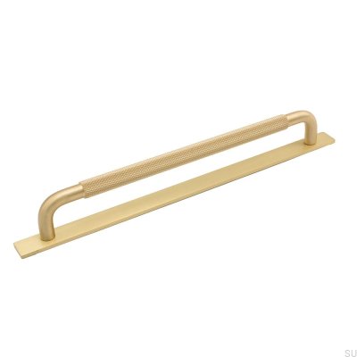 Tirador para mueble alargado con arandela Helix 224 Oro Cepillado
