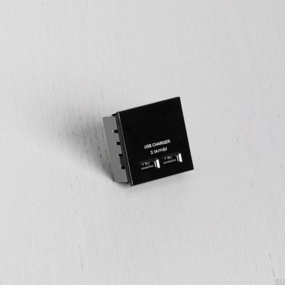 Módulo de doble toma USB para placa europea, color negro, estándar británico