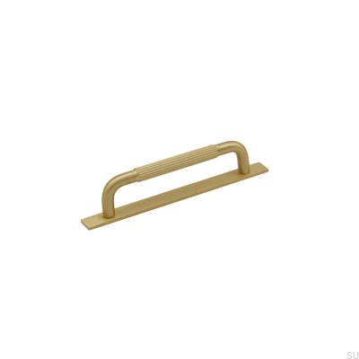 Tirador para mueble alargado con arandela Helix Stripe 128, Gold Brushed