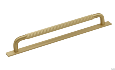 Tirador alargado para mueble con arandela Helix Stripe 224 Gold Brushed