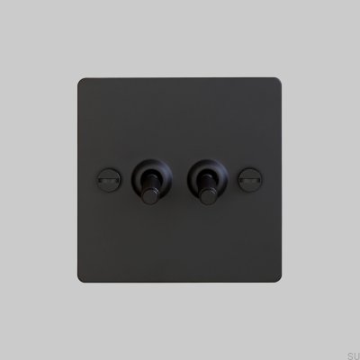 Doble interruptor cruzado 2G acero negro estándar británico