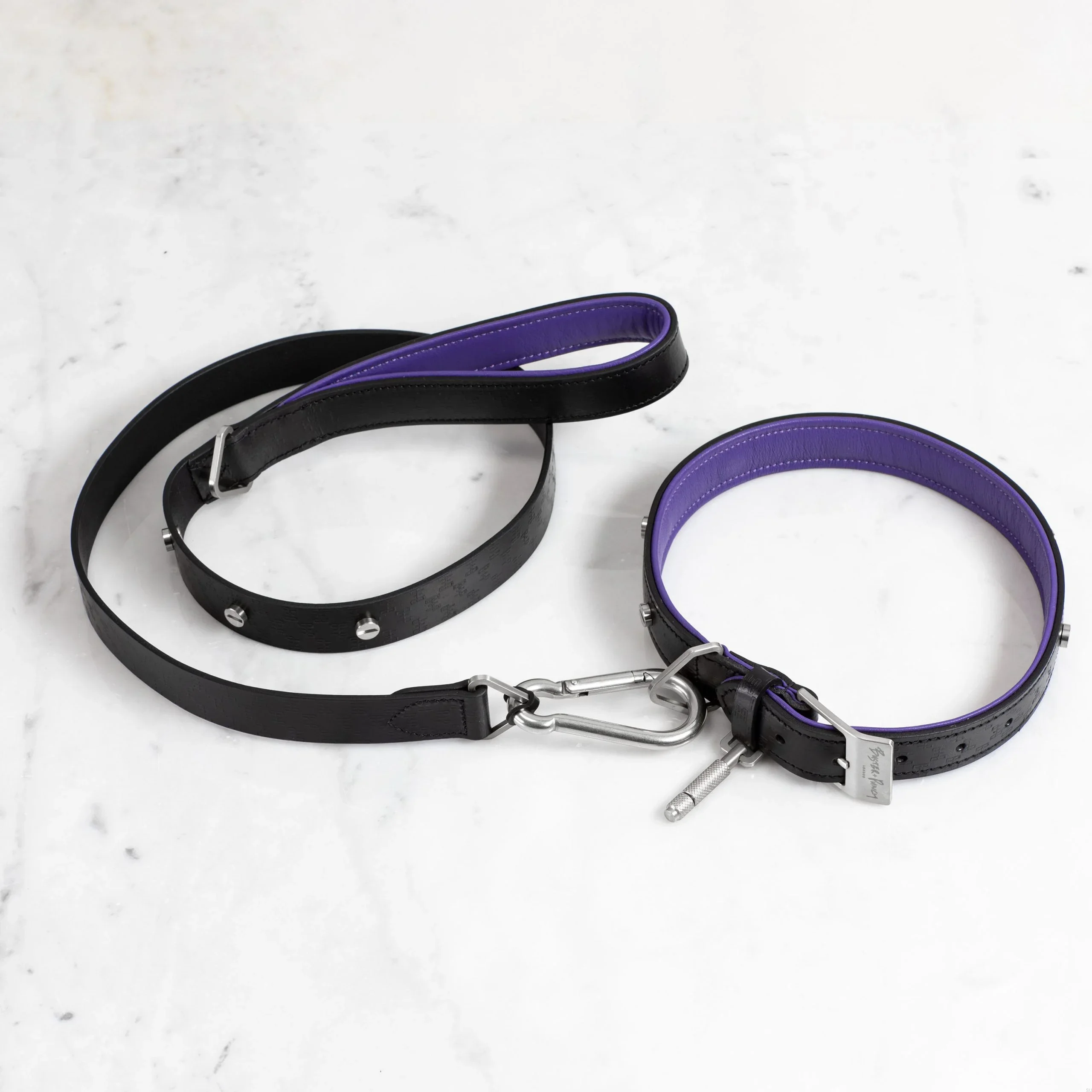 BusterPunch_Dog_Collar_Lead_Steel_Large-scaled.webp