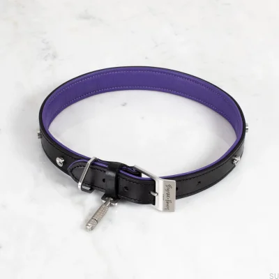 Collar para perro de cuero y acero S