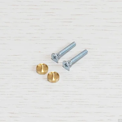 Tornillos interruptor Latón Electricidad (2 piezas)