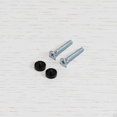 Tornillos interruptor de electricidad Negro (2 piezas)