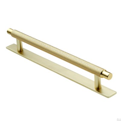 Tirador para mueble alargado con arandela Manor 192 Gold