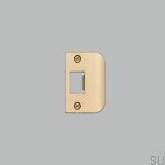 Strike_Plate_D_Plate_Brass_web-scaled.jpg