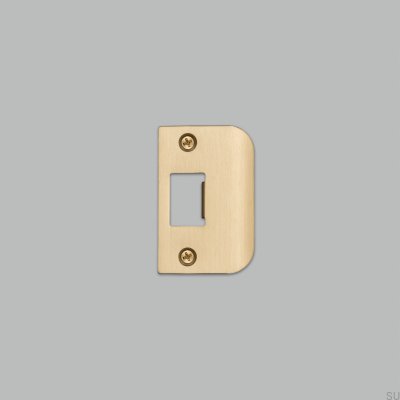 Cerradero para puertas estándar tipo D Cerradero Latón