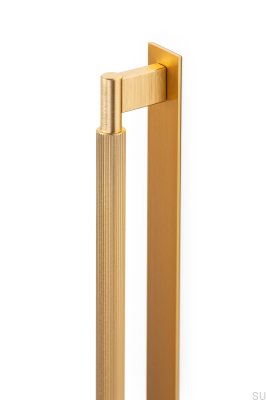 Tirador para mueble longitudinal con Placa Arpa 1178, Aluminio, Oro, Cepillado