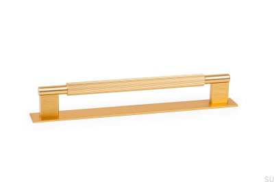 Tirador para mueble longitudinal con Placa Arpa 192, Aluminio, Oro, Cepillado
