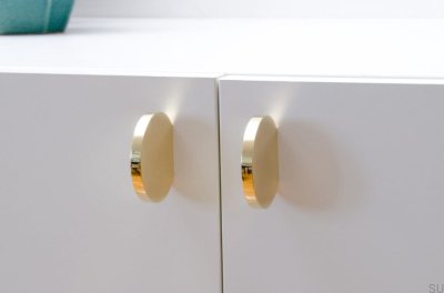 Pomo para mueble Globe 50 Latón pulido Sin pintar