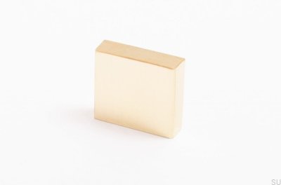 Tirador para mueble Clean Cut 22 Latón pulido Sin pintar