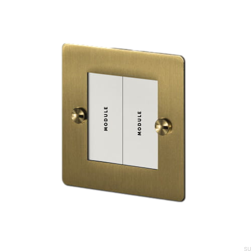 1g_brassplate_brassbutt_doubleinsert-text_2.jpg