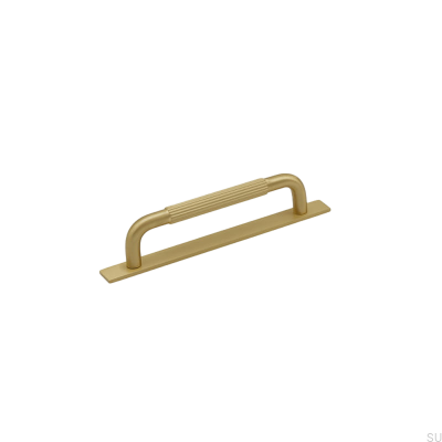Tirador para mueble alargado con arandela Helix Stripe 128, Gold Brushed