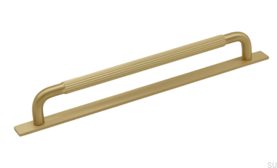 Tirador alargado para mueble con arandela Helix Stripe 224 Gold Brushed