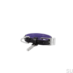 BusterPunch_Dog_Collar_Steel_XSmall_Front.jpg