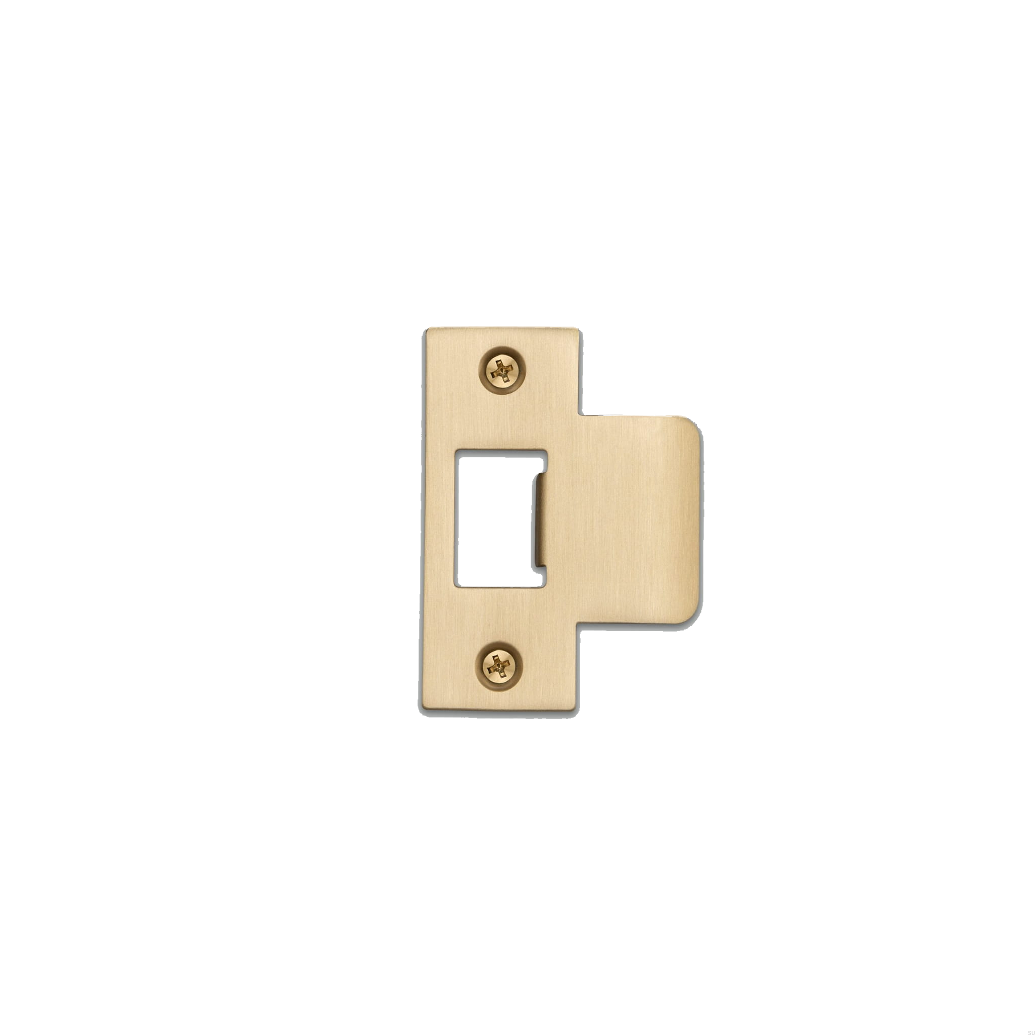 Strike_Plate_2Inch_Brass_web-scaled (1).jpg