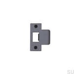 Strike_Plate_2Inch_GunMetal_web-scaled.jpg