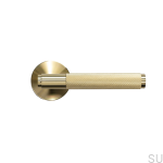 24386_clipped_rev_1.png