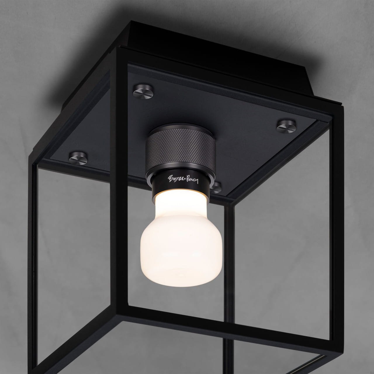 BP_Caged_Wet_Ceiling_Black_Gun_Metal_Detail_Web-scaled_Easy-Resize.com (1).jpg