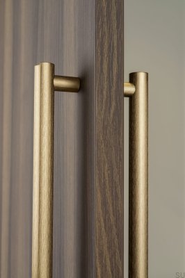 Tirador alargado para muebles Moon Big 384 de un solo lado, color oro cepillado y cava