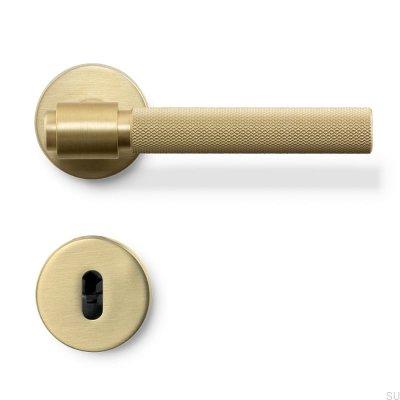 Tirador de puerta Helix 200, metal, dorado, cerradura modular
