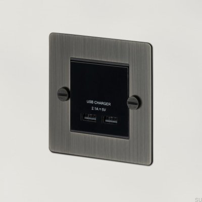 Módulo de doble toma USB para placa europea, blanco, estándar británico