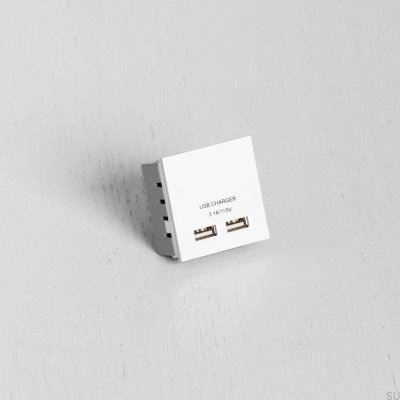 Módulo de doble toma USB para placa europea, blanco, estándar británico