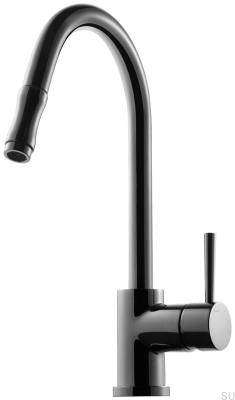 Grifo de cocina con caño extraíble EVO185, Latón, Cromo negro