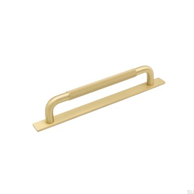 Tirador para mueble alargado con arandela Helix 160 Gold