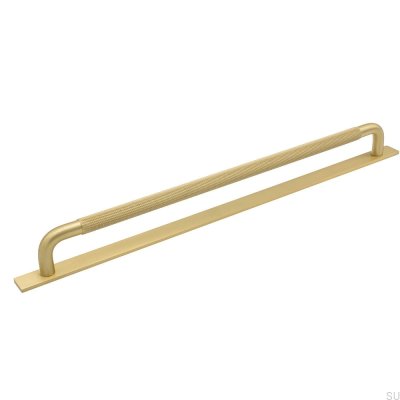 Tirador para mueble alargado con arandela Helix 320 Dorado
