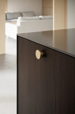Pomo para muebles de metal Circle 50 en oro cepillado