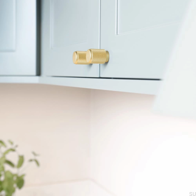Pomo para mueble Riff 21 Oro Mate