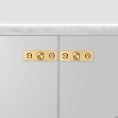 Pomo para mueble con arandela Placa Lineal 12 Latón (juego)