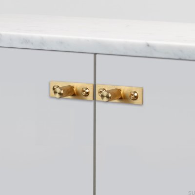 Pomo para mueble con arandela Placa Lineal 12 Latón (juego)