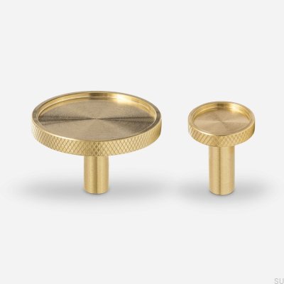 Pomo para mueble Vera L, latón cepillado, sin pintar