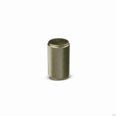 Pomo para muebles Rimini 20 de aluminio dorado cepillado (alto)