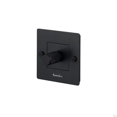 Regulador de intensidad LED Cross 1G 250W, acero, negro, estándar europeo, con logotipo