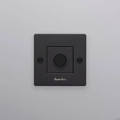 Regulador de intensidad LED Cross 1G 250W, acero, negro, estándar europeo, con logotipo