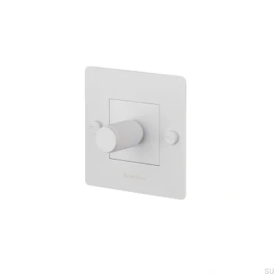 Regulador de intensidad LED Cross 1G 250W, acero, blanco, estándar europeo, con logotipo
