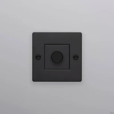 Regulador de intensidad LED Cross 1G 250W Acero Negro Estándar Europeo sin logotipo