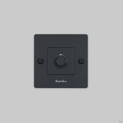 Regulador de intensidad LED lineal 1G de 120 W con logotipo, acero negro, estándar europeo