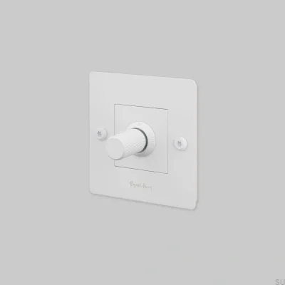 Regulador de intensidad LED lineal 1G 250W, acero blanco, estándar europeo, con interruptor y logotipo