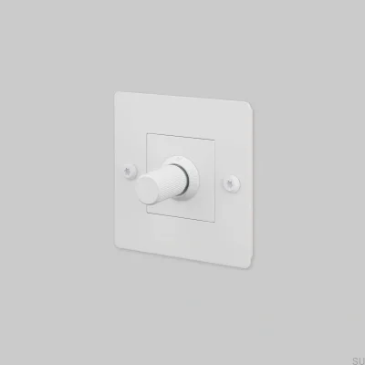 Regulador de intensidad con interruptor sin logo LED Lineal 1G 250W Acero Blanco Estándar Europeo