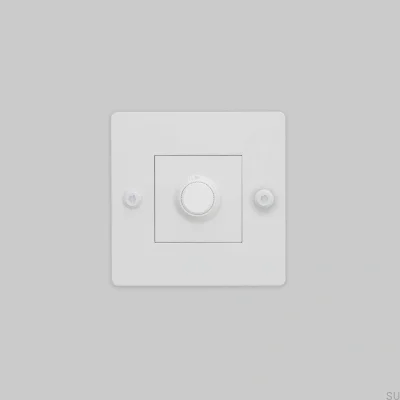 Regulador de intensidad con interruptor sin logo LED Lineal 1G 250W Acero Blanco Estándar Europeo