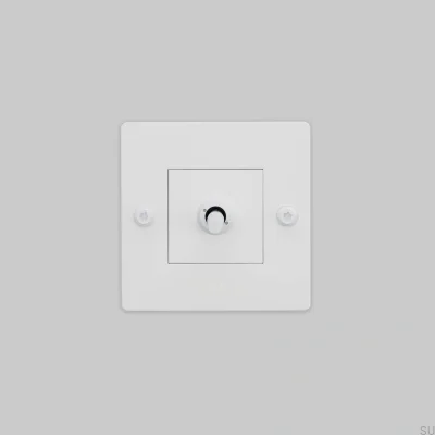 Interruptor individual con logotipo Lineal 1G Acero Blanco Estándar Europeo