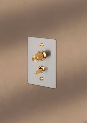 Conjunto decorativo para el interruptor Detail Linear Acero Blanco
