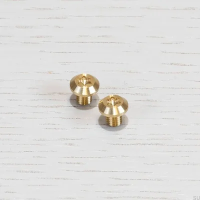 Tornillo Torx lineal de latón con mango largo