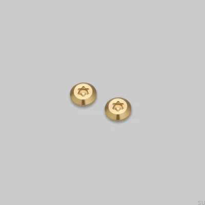 Tornillos decorativos para el marco Detalle Lineal Latón